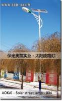 低耗能太阳能路灯 引领绿色照明新世代